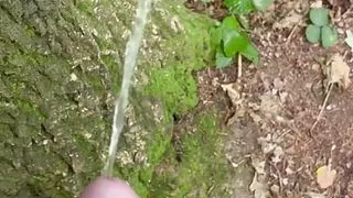 Young boy at cruising asking for my dick