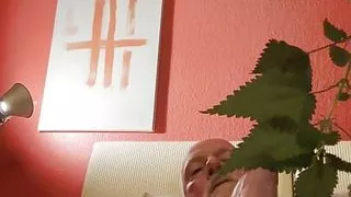 Bearstgt fresh nettles