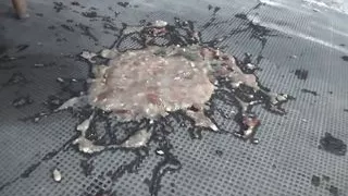 Hard fuck in the prison cellar