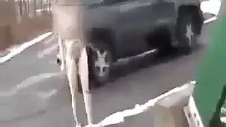 a very cold walk outdoors