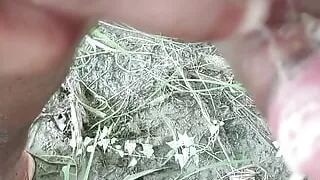 Musterbed with no gel