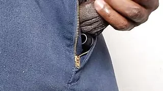 ZZ shows off BBC in highlighter gear