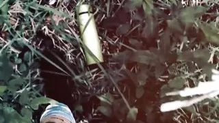 Vault 111: a Fallout 4 Roleplay