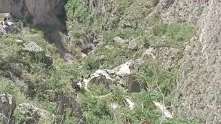 She Is a Candy, He Likes Sex Too Much