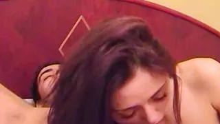 Amateur Couple Very Horny Sex