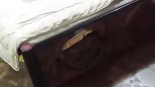 I Sucked Milk with Great Pleasure