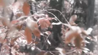 Asher Quinn Has a Fever Dream!