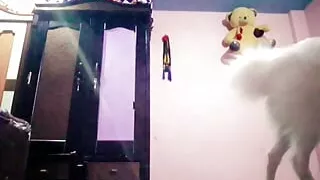 Indian boy masturbating hard