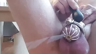 small dick in Chastity and  vibrator  big  cumshot
