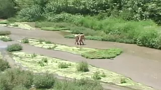 Audrey Hollander Is An Anal Hitchiker