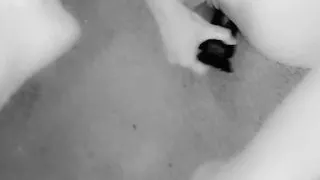 BlondeBombshell69 so wet & playing all alone