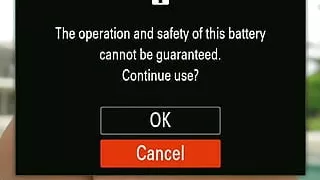 Pussy Licking in the Sun