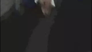 Ohio sexydixie27 lingerie outdoors