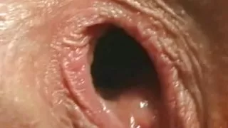 Analsex, Dicke Girls, Blowjob, Penetration, Vintagesex