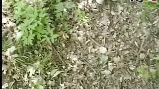 Horny whore ready to enjoy with her hairy pussy always wet in scene 01 from the movie Un'insaziabile voglia di cazzo