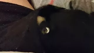 I thought I'd never cum (headphone warning)