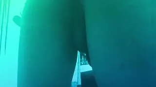 Bubble Butt Twink Twerking Ass