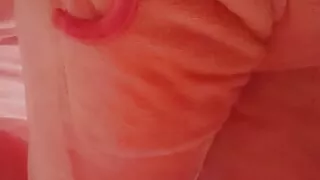 sharmota masr men alexandria ttnak fe tezha nik gamed Egypt