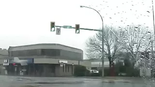 sexy girlfriend  shows off her pussy in the car