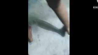 Bhabhi Viral sexy video