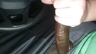 Hanjob fun in car with Lotus and ZZ