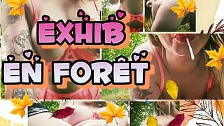 Exhib in the forest, a good wetness in anticipation