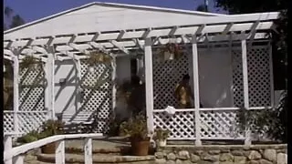 Randy cock sucking babe enjoys taking dick in pussy and gets jizzed