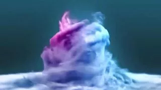 Pissing in my slave's mouth.