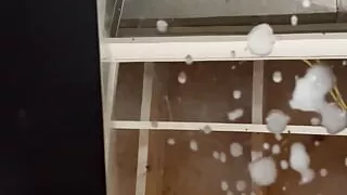 Biggest cumshot ever