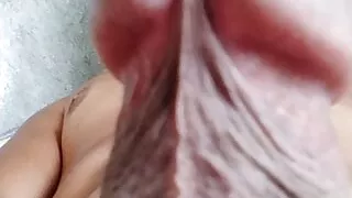 Amateur Pinoy nagpakawala ng maraming gata