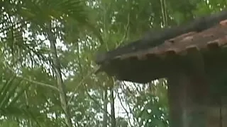 Blonde with large breasts has her tight pussy eaten out by a slutty lesbian brunette