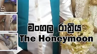 The Honeymoon - The first day of fuck my wife Dishy's Pussy