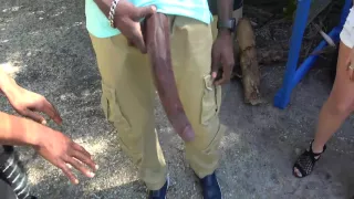 Huge Bbc! Big Black Dick Flash At Public Bus Stop 4 Min