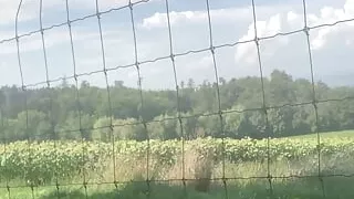 Once again outdoors on the road