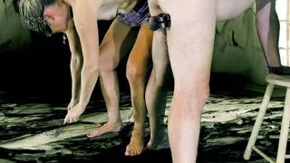 what am I going to do with your balls