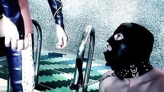 Gesichtsbesamung, Fetischsex, Sexorgie, Muschi, Rasierte Muschi, Lutschen