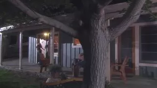 Gorgeous Hottie Brooke Banner Sucks And Gets Pussy Banged Outdoors