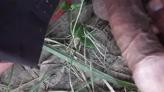 Sex In Forest By Hand