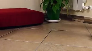 Mouthwatering Tessa Dressed in Crotchless Fishnet Bodystocking