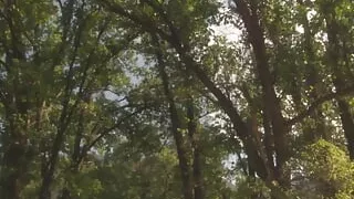 Horny Babe Lauren Phoenix Blows A Huge Cock And Gets A Facial