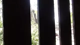 Hot teen Zoey Nixon deep throats and gets spanked