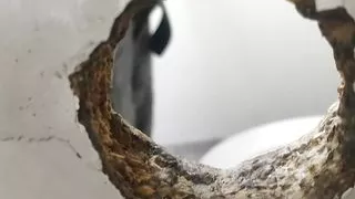 Real gloryhole . Gliry hole in public toalett