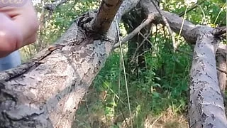 I cum on a tree in the forest