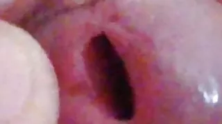 The big penis hole where lots of delicious cum comes out to eat.