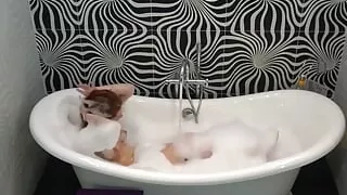 My stepdaddy literally eating my girls pussy and fucking it hard in the bathtub