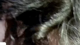 Viral Mms Leaked Desi Village Hot Girl,Desi Village hot girl very hot Romantic sed