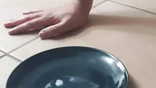 Compilation creampie and sperm eater