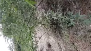 Desi bhabhi hot aunty outdoor sex