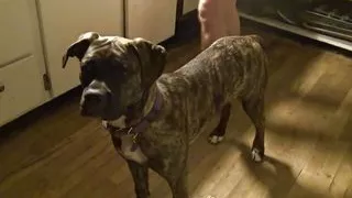 Massive surprise facial for neighbor's wife after hard fuck