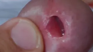 The enlarged glans makes the dick stay drooling and erect for longer.